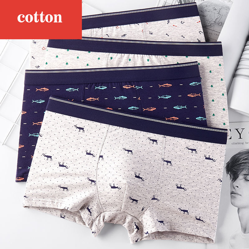4 قطعة/الوحدة الملاكم السراويل - مراجعة Boxer Brief Pack Cotton وسعره