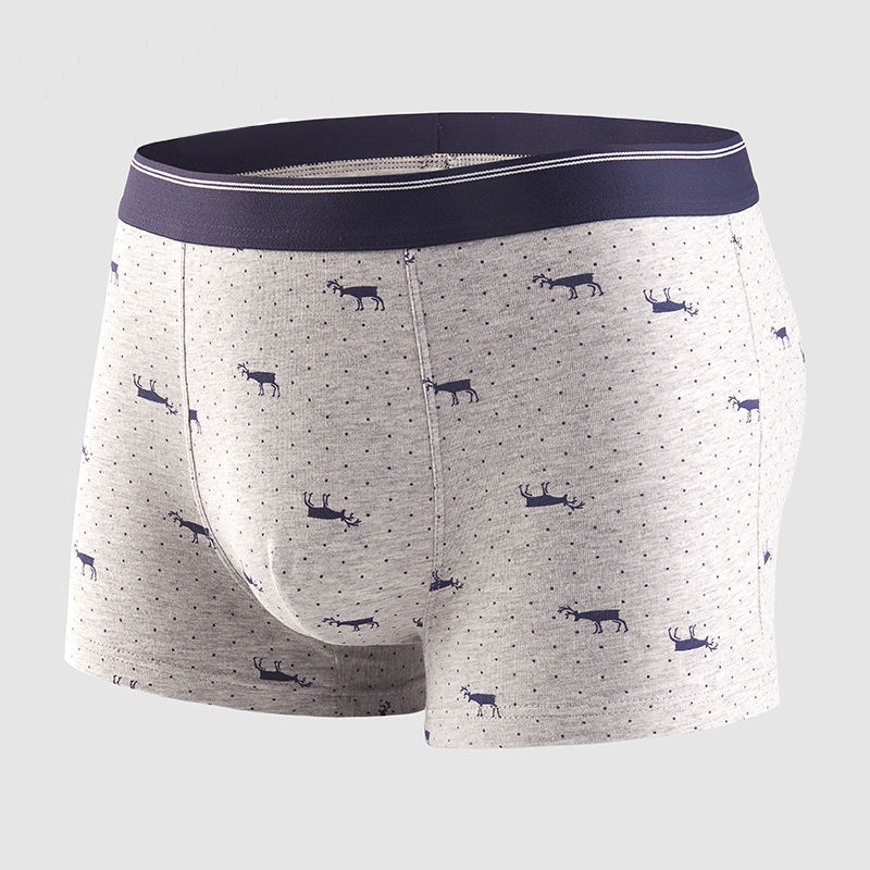4 قطعة/الوحدة الملاكم السراويل - مراجعة Boxer Brief Pack Cotton وسعره